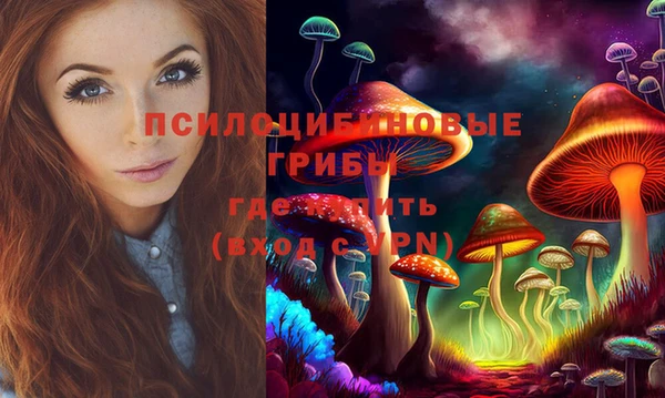 ECSTASY Бронницы