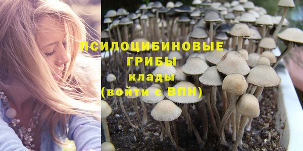 кристаллы Бородино