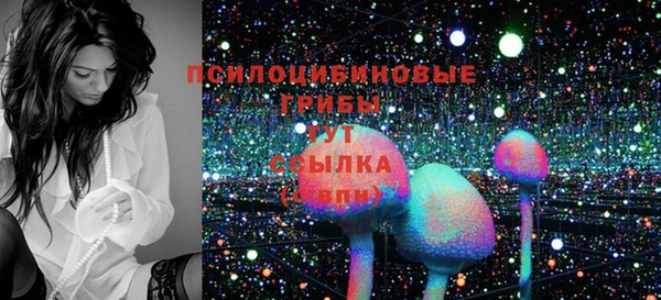 mix Богородицк